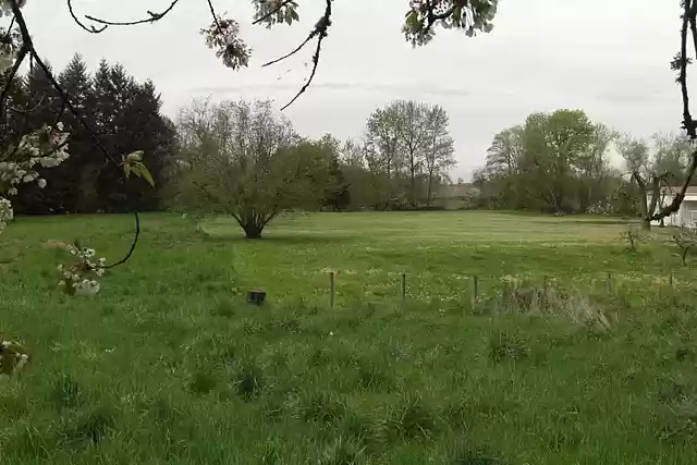 Site of HWA's Ordination